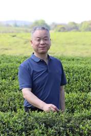 说明: 黄