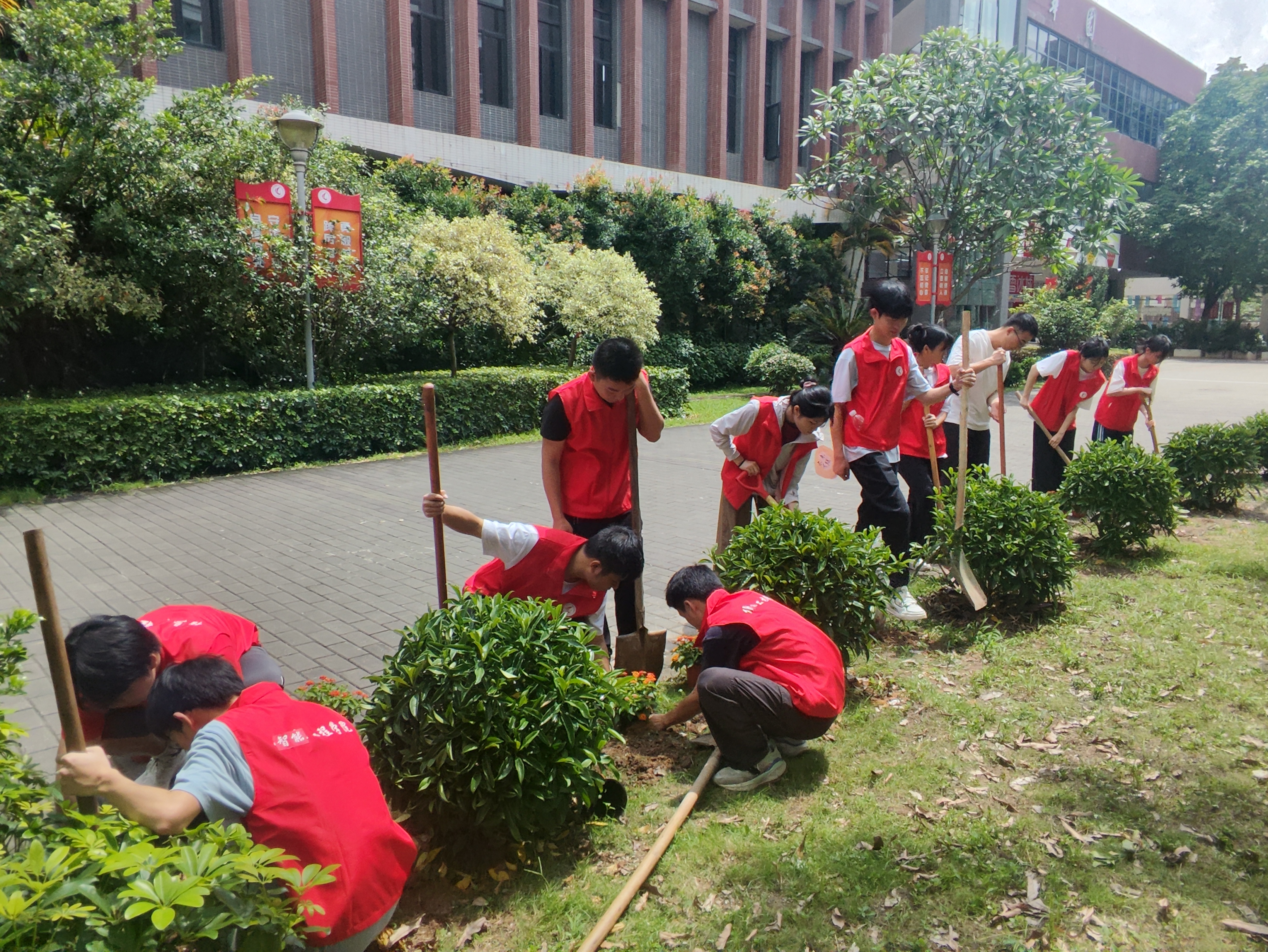 学生种植.jpg