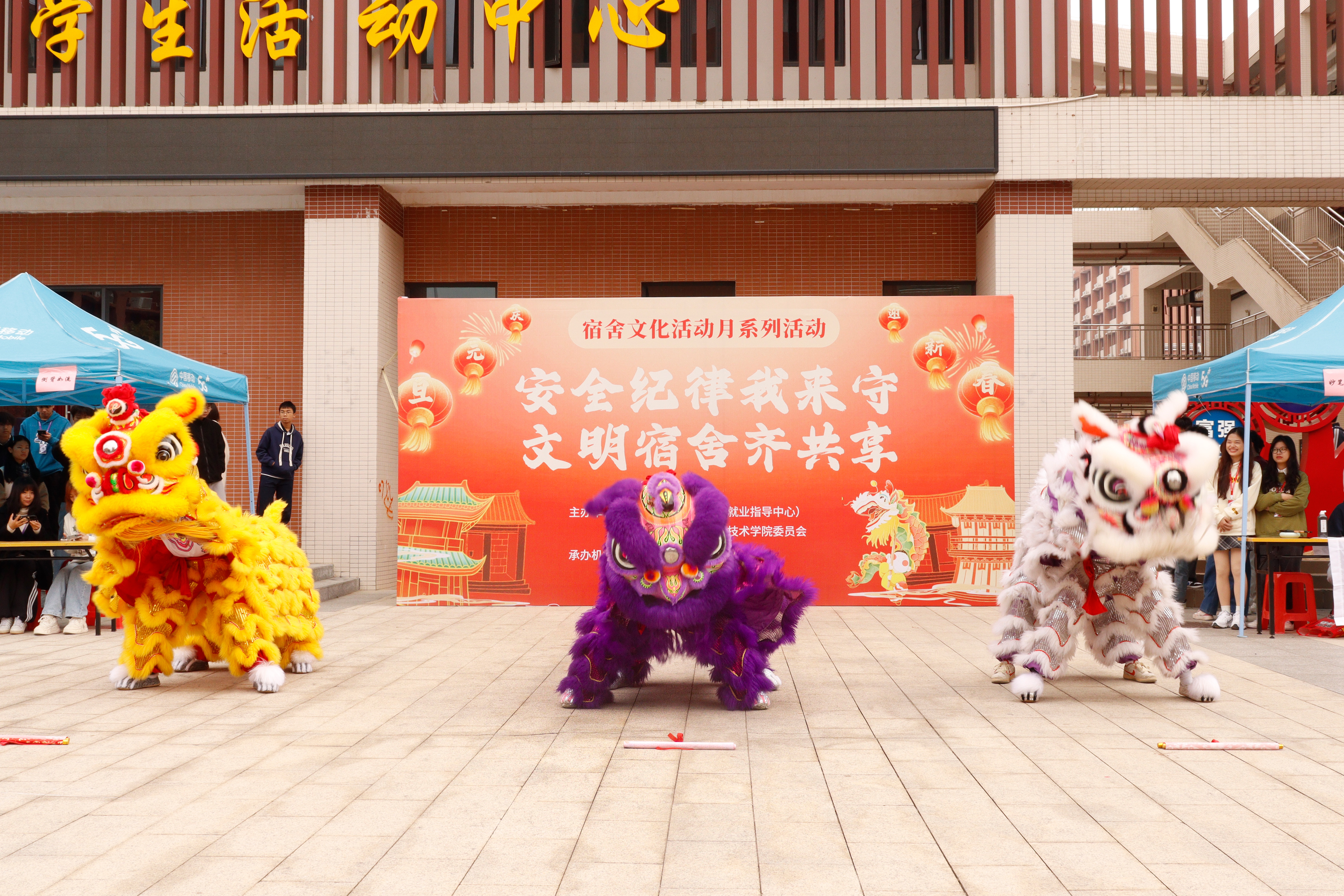 _MG_6608.JPG