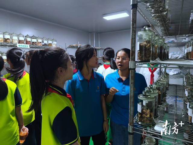 南方医科大学中医药学院“百千万工程”突击队积极开展乡村药学服务活动。 南方医科大学中医药学院“百千万工程”突击队积极开展乡村药学服务活动。