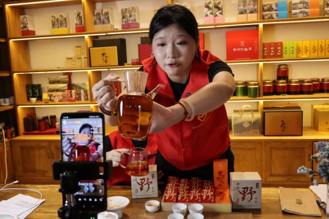 田间直播间赋能乡村产业!广工程学子赴连州丰阳助力百千万工程