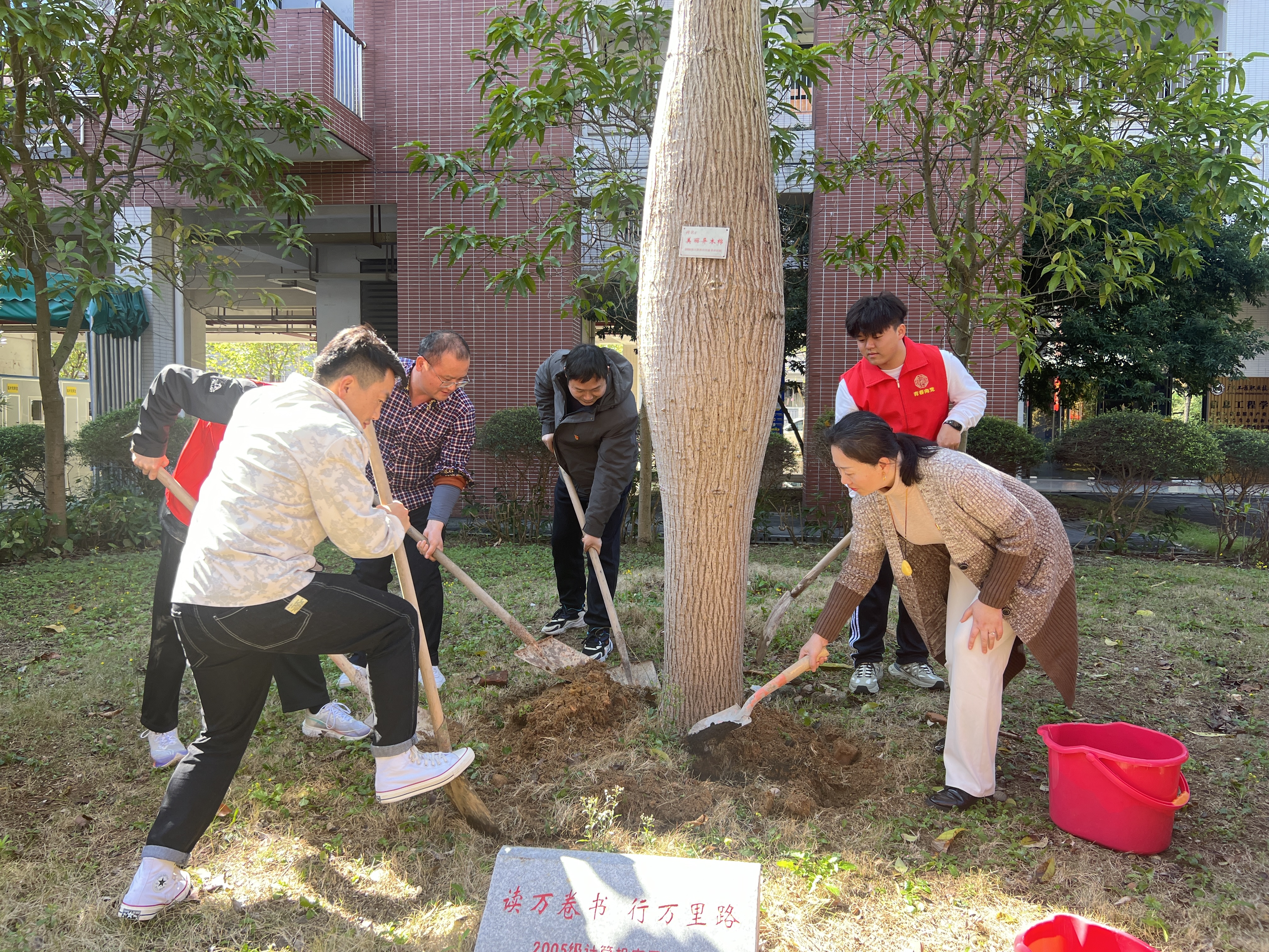 植树2.jpg